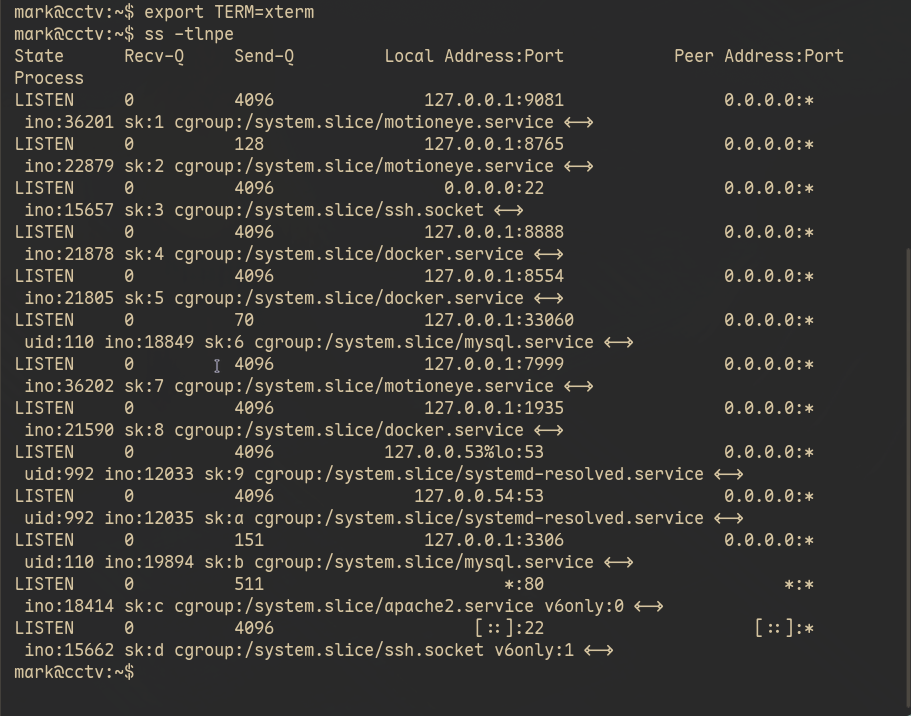 ss -tlnpe output showing processes and ports open
