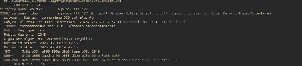 nmap output showing domain names
