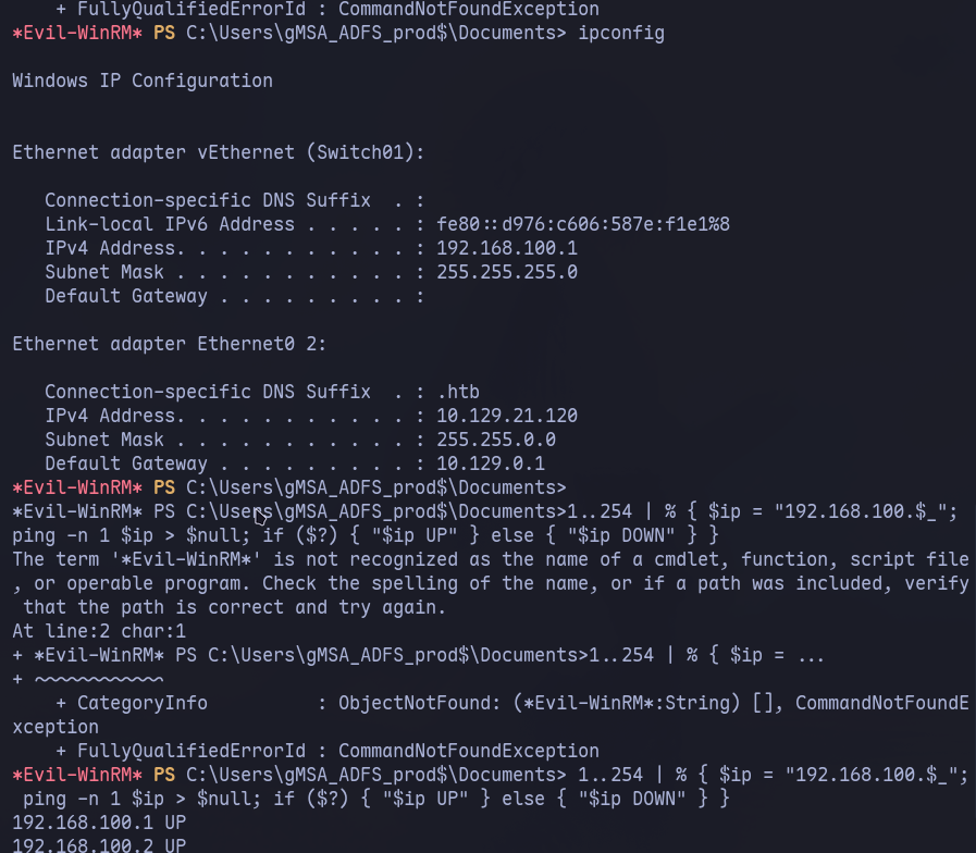 ipconfig output and pinging machines