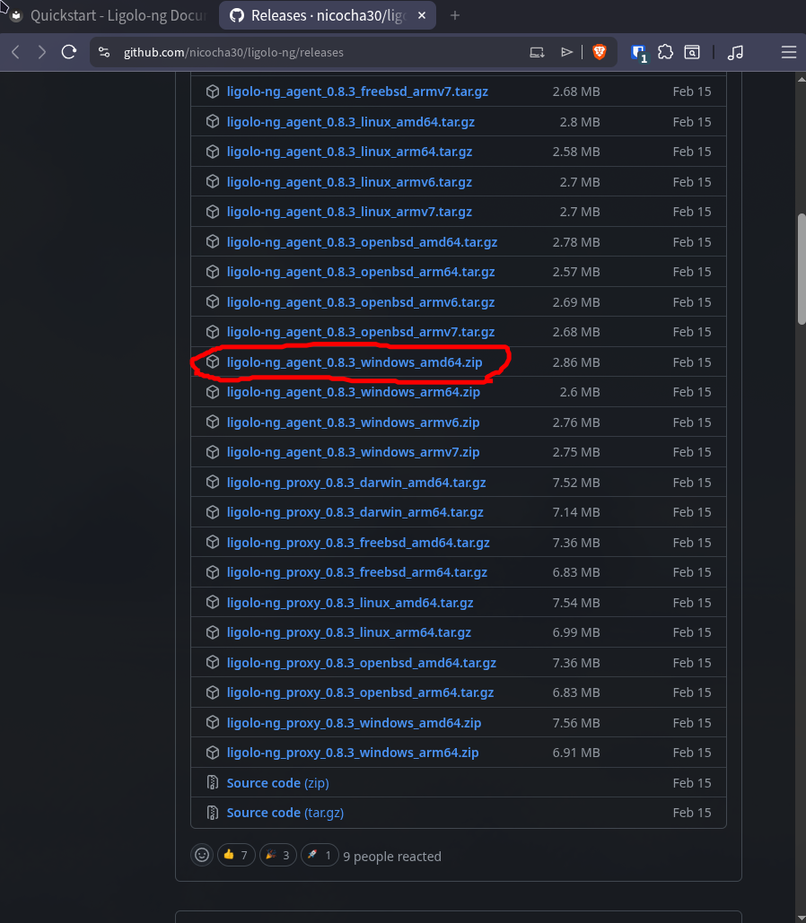 Showing ligolo-ng releases